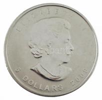 Kanada 2009. 5$ Ag "II. Erzsébet / Juharlevél" (31,1g/0.999) T:BU
Canada 2009. 5 Dollars ...