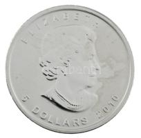 Kanada 2010. 5$ Ag "II. Erzsébet / Juharlevél" (31,1g/0.999) T:BU
Canada 2010. 5 Dollars ...