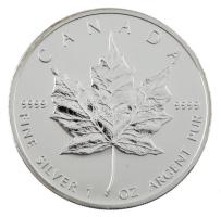 Kanada 2007. 5$ Ag II. Erzsébet / Juharlevél (31,1g/0.999) T:BU Canada 2007. 5 Dollars Ag Elizabeth II / Maple Leaf (31,1g/0.999) C:BU Krause KM#625