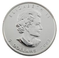Kanada 2007. 5$ Ag "II. Erzsébet / Juharlevél" (31,1g/0.999) T:BU
Canada 2007. 5 Dollars ...