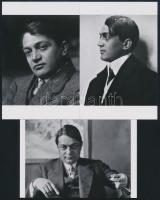cca 1916 Ady Endre (1877-1919) költő portréi, 3 db mai nagyítás a néhai Lapkiadó Vállalat fotólaborjának archívumából, 15x10 cm