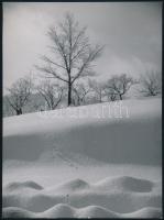 cca 1930-1940 Szendrő István (1908-2000): Téli táj (fotóművészeti alkotás), hátoldalán pecséttel jelzett fotó, 23x17 cm