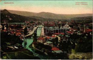1913 Sarajevo, Cijeli Pogled / Totalansicht / general view (EK)