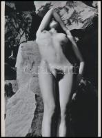 cca 1977 Akt sziklaszilárd háttérrel, Marinkay István (1920-?) veszprémi fotóművész hagyatékából 1 db mai nagyítás, 24x17,7 cm