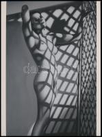Dora Philippine Kallmus (1881-1953) bécsi fényképész és fotóművész emlékére, 2022-ben fotórealisztikus stílusban, vászonra készült fekete-fehér olajfestmény fotómásolata (akt a rács árnyékában), mai nagyítás, 24x17,7 cm