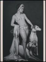 Angelo Funk Pál (1894-1974) budapesti fényképész és fotóművész emlékére, 2021-ben fotórealisztikus stílusban, vászonra készült fekete-fehér olajfestmény fotómásolata (modern nő két kutyával, az eredeti felvétel készítésének ideje cca 1935), mai nagyítás, 24x17,7 cm