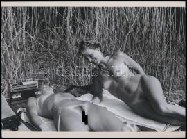 cca 1975 Táskarádióval felszerelt, nudizó hölgyek a Velencei-tó nádasának rejtekén, szolidan erotikus felvétel, 1 db modern nagyítás, 17,7x24 cm