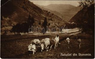 1914 Salutari din Romania, ploughing with oxen (EK)