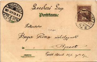 1901 Ob ichs wage? / Dachshund dog. litho s: Mailick (EK)