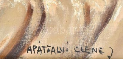 Apátfalvi Czene János (1904-1984): Csendélet. Olaj, vászon, jelezve jobbra lent. 50×60 cm. Dekoratív...