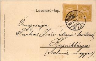 1902 Szerencsés Boldog Újévet! / New Year greeting art postcard, romantic couple, hunter with rifle....