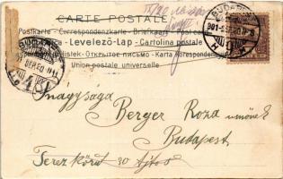 1901 Prosit Neujahr! / New Year greeting art postcard, lady, clover. Serie 707. No. 4. Art Nouveau, ...