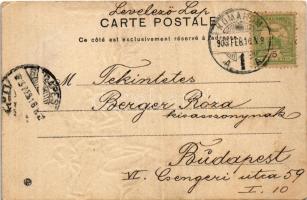 1903 Art Nouveau lady art postcard. litho - Raphael Kirchner style (EK)