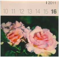 2011 Rózsák - képeslapnaptár 53 motívummal