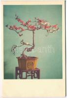 China - Miniature Landscape Gardening - modern képeslapfüzet 12 képeslappal / modern postcard bookle...