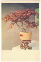 China - Miniature Landscape Gardening - modern képeslapfüzet 12 képeslappal / modern postcard bookle...