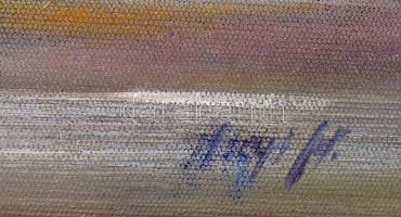 Hegyi H. jelzéssel: Dunakanyar. Olaj, vászon,. Dekoratív keretben. 40x61cm