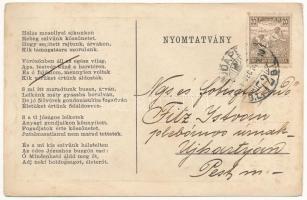 Budapest IV. Újpest, Újpest-Megyer; Szent József és Szent Terézia Otthon szegény gyermekek részére a...