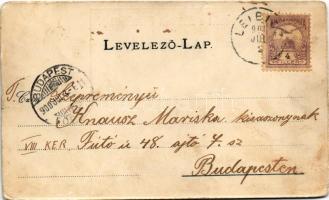 1900 Leibic, Leibicz, Leibitz, Lubica; Kénfürdő, nyaraló / spa, sulfur bath, villa (kopott sarkak / ...