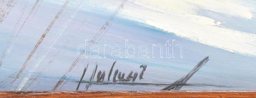 Halmai Attila (?-): Téli táj. Olaj, farost. Jelzett. 50×70 cm. Dekoratív fakeretben