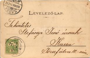 1903 Lublófüred, Lubló-fürdő, Kúpele Lubovna (Ólubló, Stará Lubovna); Silvia nyaraló. Szeiffert Endr...
