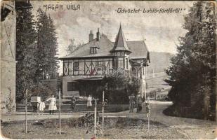 1907 Lublófüred, Lubló-fürdő, Kúpele Lubovna (Ólubló, Stará Lubovna); Magán villa / villa, spa (lyukak / pinholes)