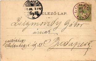 1903 Lublófüred, Lubló-fürdő, Kúpele Lubovna (Ólubló, Stará Lubovna); Kermetzky nyaraló. Szeiffert E...