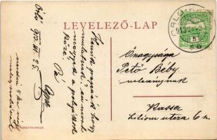 1913 Lublófüred, Lubló-fürdő, Kúpele Lubovna (Ólubló, Stará Lubovna); Kermeszky nyaraló. Divald Káro...