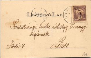 1901 Lublófüred, Lubló-fürdő, Kúpele Lubovna (Ólubló, Stará Lubovna); Fürdőház. Szeiffert Endre kiad...