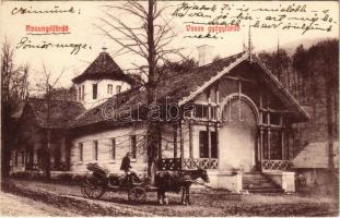 1907 Rozsnyó, Roznava; Zelezné kúpele / Vasas gyógyfürdő, lovaskocsi. Búfy János kiadása / spa, bath, horse-drawn carriage