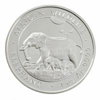 Szomália 2022. 100Sh Ag "Afrikai vadvilág" kapszulában T: PP
Somali Republic 2022. 100 Sh...