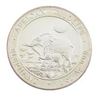 Szomália 2011. 100Sh Ag "Afrikai vadvilág" kapszulában T: PP
Somali Republic 2011. 100 Sh...