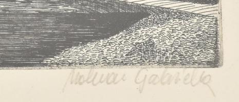 Molnár Gabriella (1940-): Császár malom Budán, 1856. Rézkarc, papír, jelzett, lap széle kissé foltos...