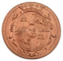 ifj. Szlávics László (1959-) DN "Gróf Széchenyi István" kétoldalas, ezüstözött bronz emlék...