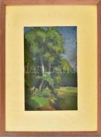 Olvashatatlan jelzéssel: Napfényes erdőszéle. Olaj, papír. 34x23,5 cm. Üvegezett fakeretben.