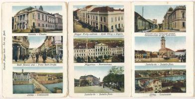 Lugos, Lugoj; kihajtható leporellolap / folding leporellocard (b)