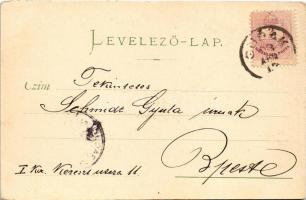 1898 (Vorläufer) Fiume, Rijeka; Tersatto / Trsat / castle. Carl Otto Hayd (EK)