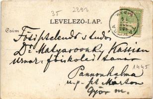 1905 Tarcsa, Tarcsafürdő, Bad Tatzmannsdorf; Karolina villa, Gyógyudvar, Sétatér / villa, spa, prome...