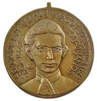 Tőrös Gábor (1934-2021) DN Bolyai János - semmiből egy új más világot teremtettem 1802-1860 bronz emlékérem (185mm) T:1-