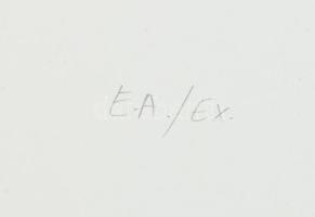 Gyémánt László (1935-): Női akt. Szitanyomat, papír, jelzett, művészpéldány E.A./Ex. jelzéssel. Lapm...