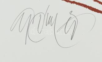 Gyémánt László (1935-): Női akt. Szitanyomat, papír, jelzett, művészpéldány E.A./Ex. jelzéssel. Lapm...