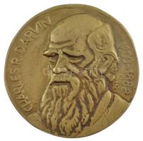 Tőrös Gábor (1934-2021) DN Charles Darwin 1809-1882 bronz emlékérem (115mm) T:1- felül lyukasztott