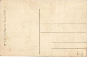 Trencsén, Trencín; Erzsébet szálloda, vár. Vasúti Levelezőlapárusítás 2607. / Trenciansky hrad / hot...