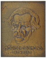 Tőrös Gábor (1934-2021) DN Móricz Zsigmond 1879-1942 bronz emlékplakett (145x120mm) T:1- felül lyukasztott