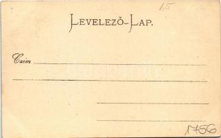 Trencsén, Trencín; látkép. Gansel Lipót kiadása / general view