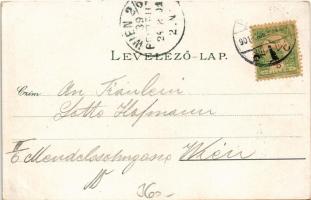 1901 Pozsony, Pressburg, Bratislava; Vaskutacska. Ottmar Zieher / Eisenbrünnel (Eisenbründl) / Zelez...