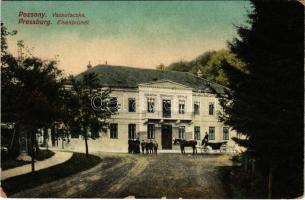 Pozsony, Pressburg, Bratislava; Vaskutacska, lovaskocsi / Eisenbrünnel (Eisenbründl) / Zelezná Studienka / spa, bathhouse, horse-drawn carriage (EK)