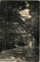 1913 Szobránc, Szobráncfürdő, Kúpele Sobrance; Szerelmes erdei sétány. Ignáczy Géza fényképész kiadása / romantic forest walkway, promenade (EK)