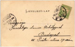 1902 Kassa, Kosice; Bankó-fürdő. László Béla kiadása / spa, bath in Bankov