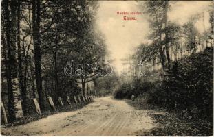 1913 Kassa, Kosice; Bankói részlet, út. Nyulászi Béla kiadása / spa, road in Bankov (kis szakadás / small tear)
